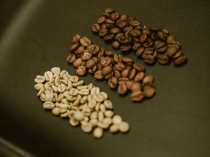 Coffee beans at three stages of roast