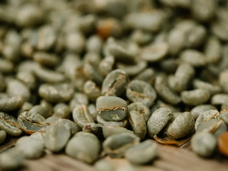 Unroasted green coffee beans